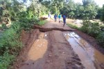 Interventions sur le réseau: une équipe mobilisée sur la section Tignère-Mayo Baléo dans l’Adamaoua